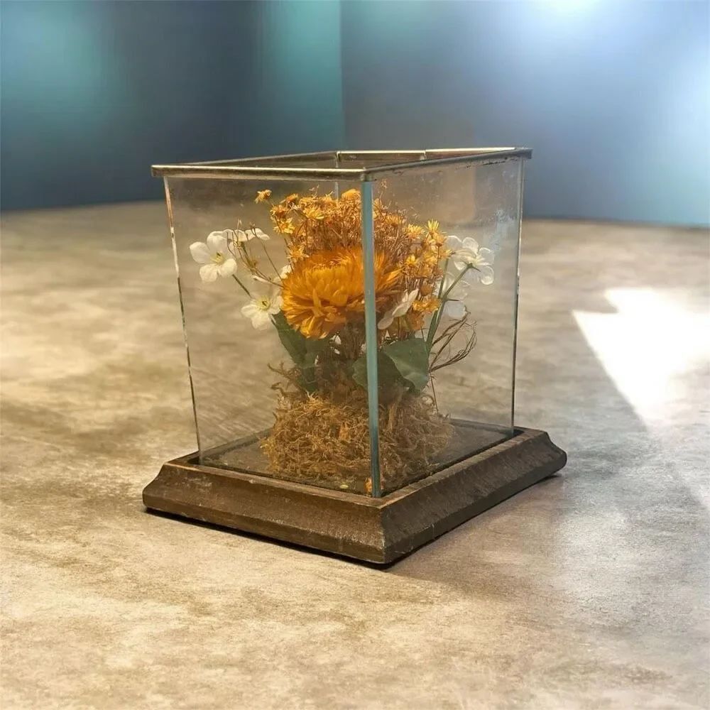 Leonard Creations Dried Flower Arrangement 6” Tall Glass Box Wood Terrarium